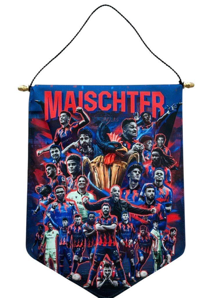 Wimpel Meister 24/25