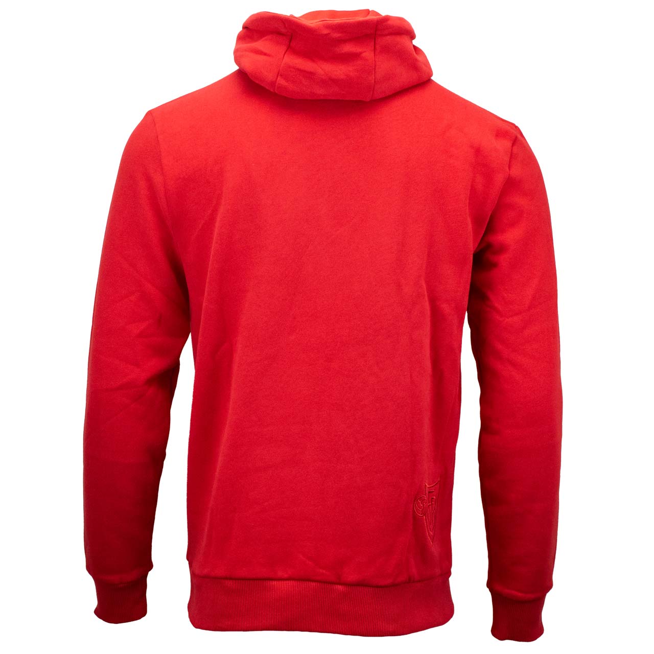 Hoodie rot 1893