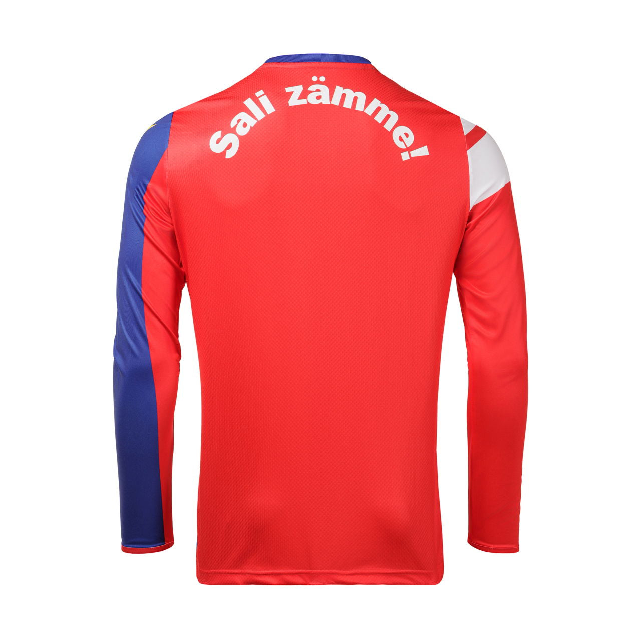Pre Match Shirt langarm 23/24